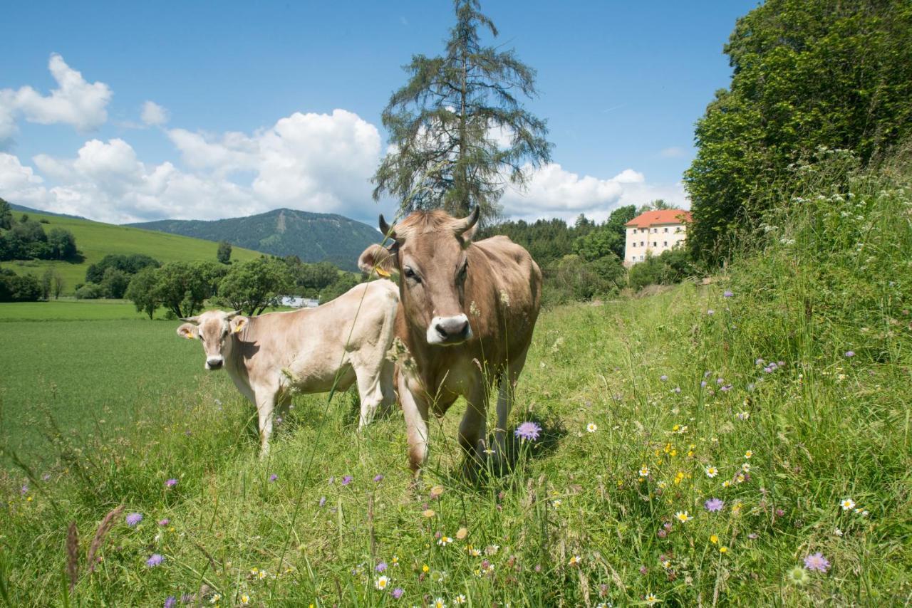 Hotel Landsitz Pichlschloss Neumarkt in Steiermark Exterior foto