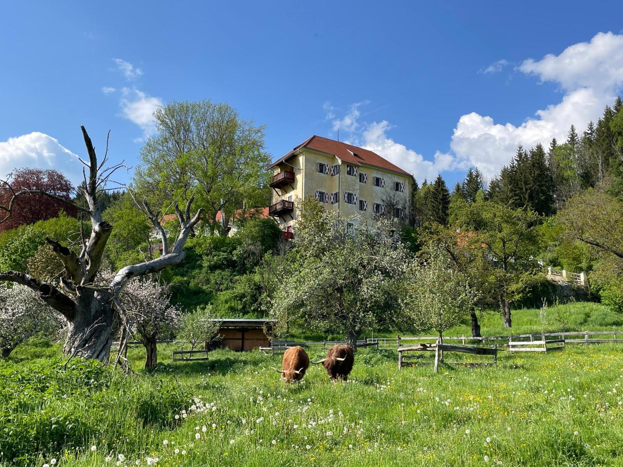 Hotel Landsitz Pichlschloss Neumarkt in Steiermark Exterior foto
